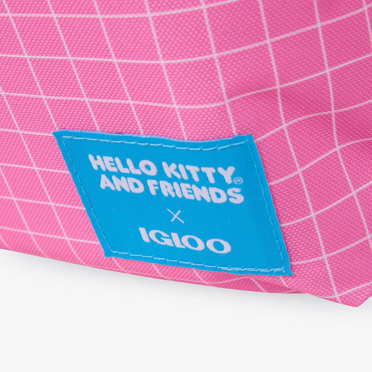 hello-kitty-and-friends-bff-mini-convertible-backpack-cooler-w6 00027591-L.jpg