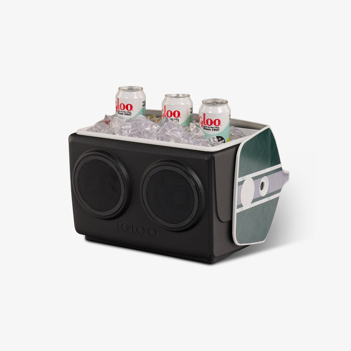 michigan-state-university-kooltunes-x0 00027730-P1.jpg
