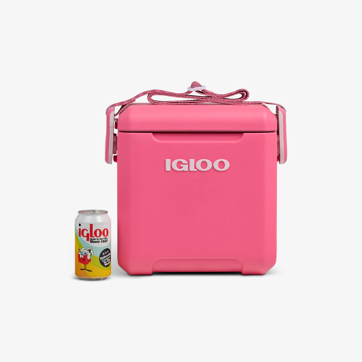 tag-along-too-remix-cooler-o5 00033199-P_861a5cd2-f15c-4217-a471-e33cc3890d9e.jpg