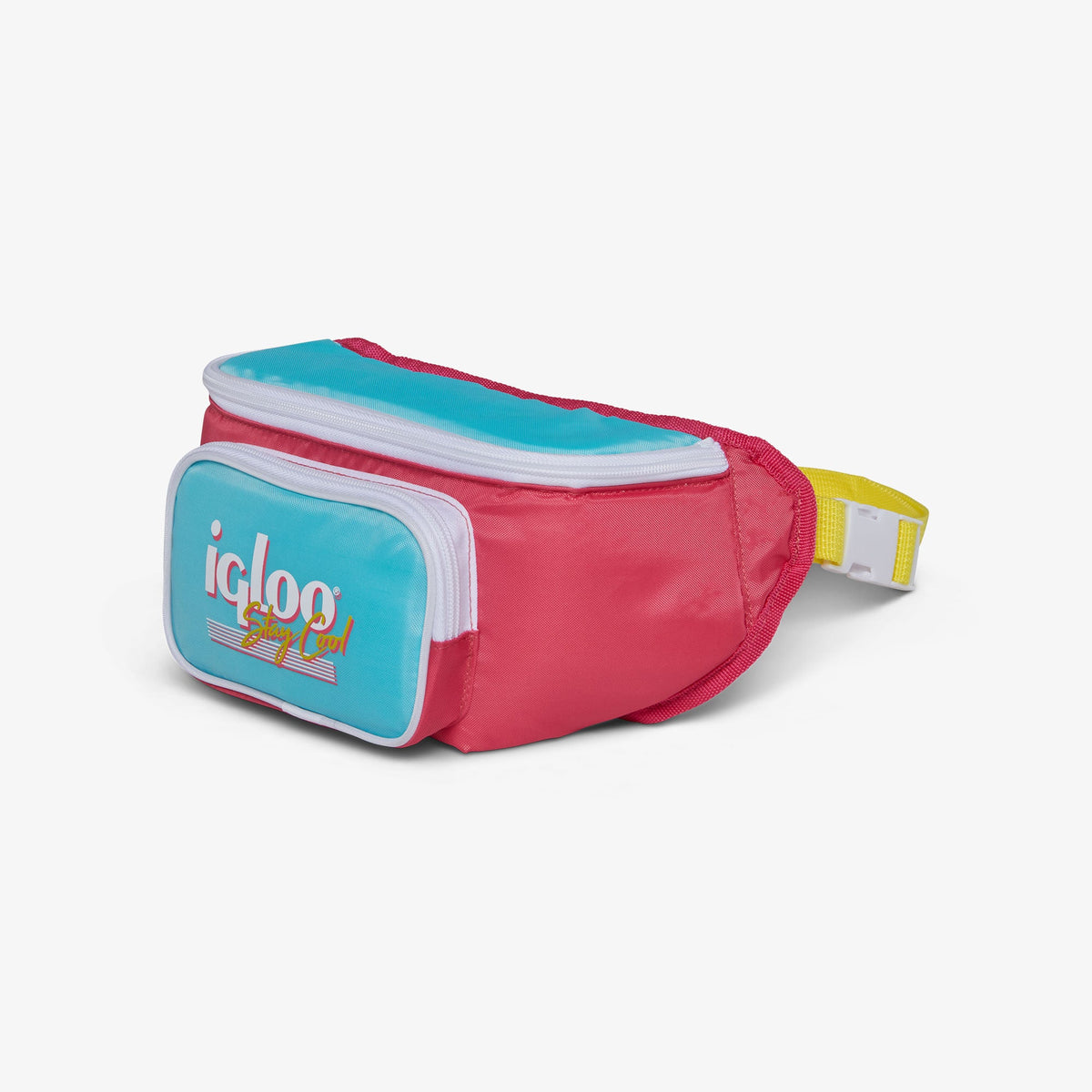 retro-fanny-pack-x2 00066058-H1.jpg