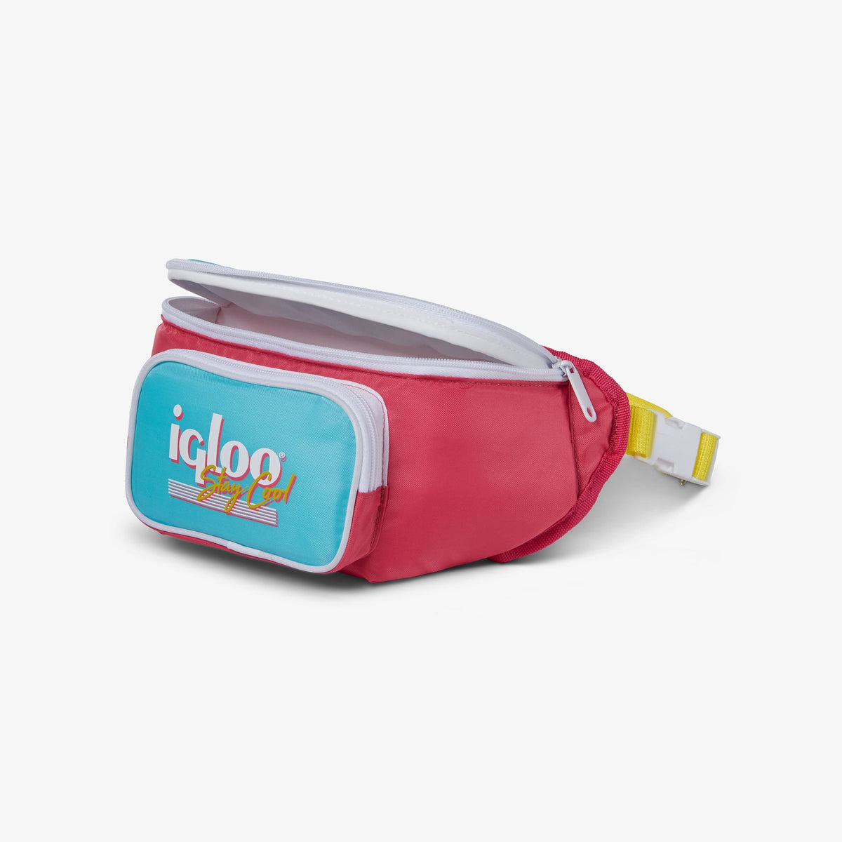 retro-fanny-pack-x2 00066058-O1.jpg
