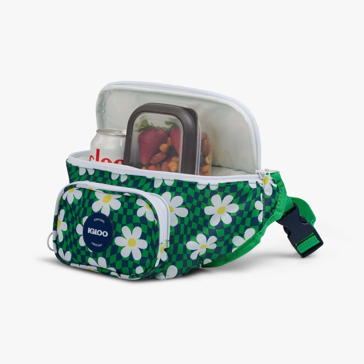 retro-fanny-pack-x2 00067206-P1.jpg